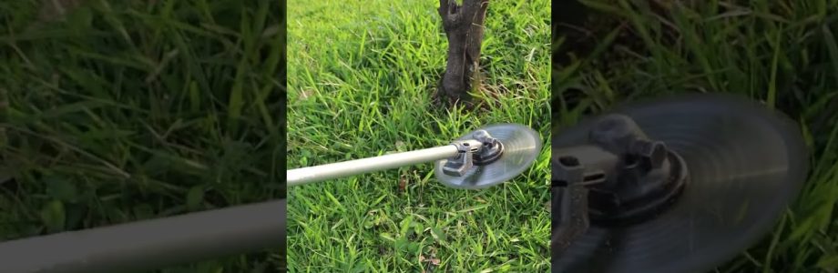 bloqueo de tuberías por raíces leñosas