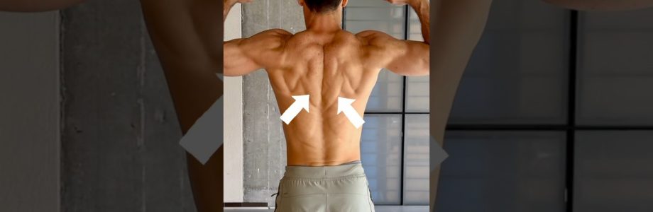 eliminación de raíces con equipos específicos