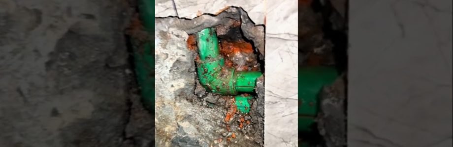 identificación de obstrucciones internas