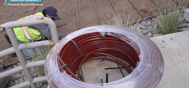 prevención de intrusión de raíces